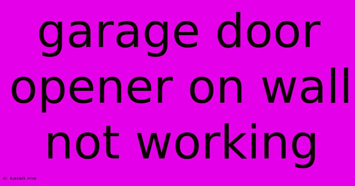 Garage Door Opener On Wall Not Working