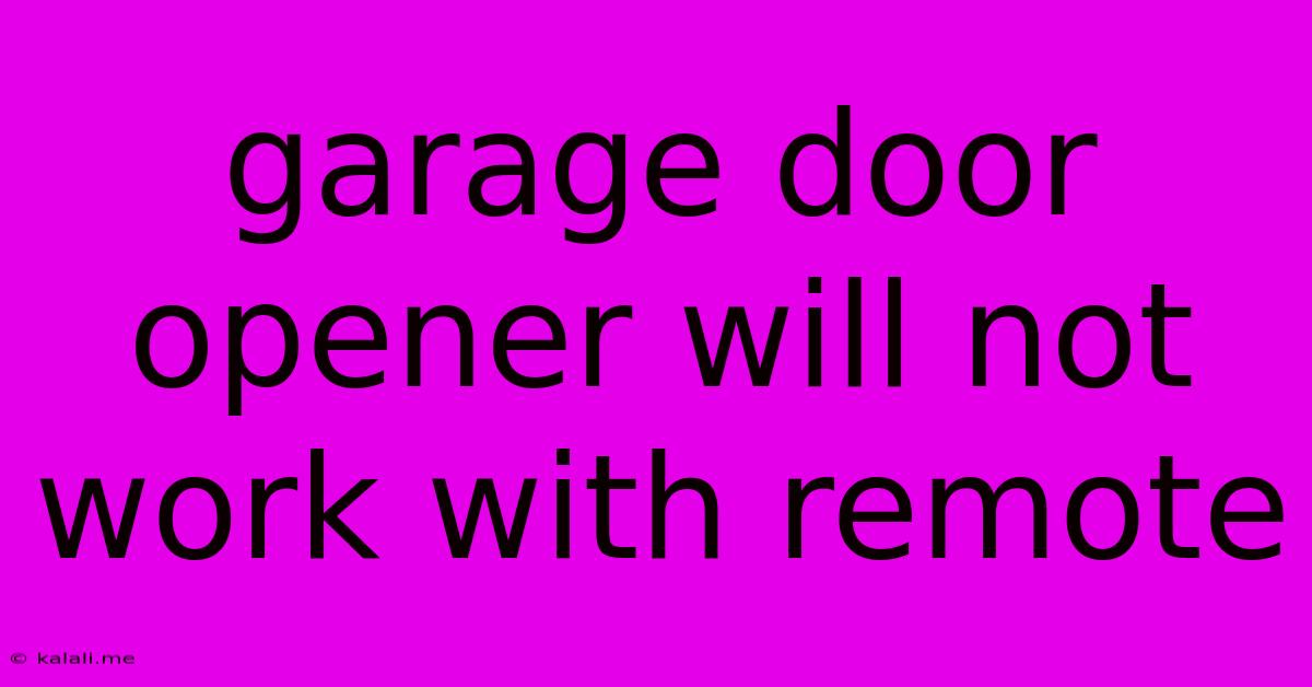 Garage Door Opener Will Not Work With Remote