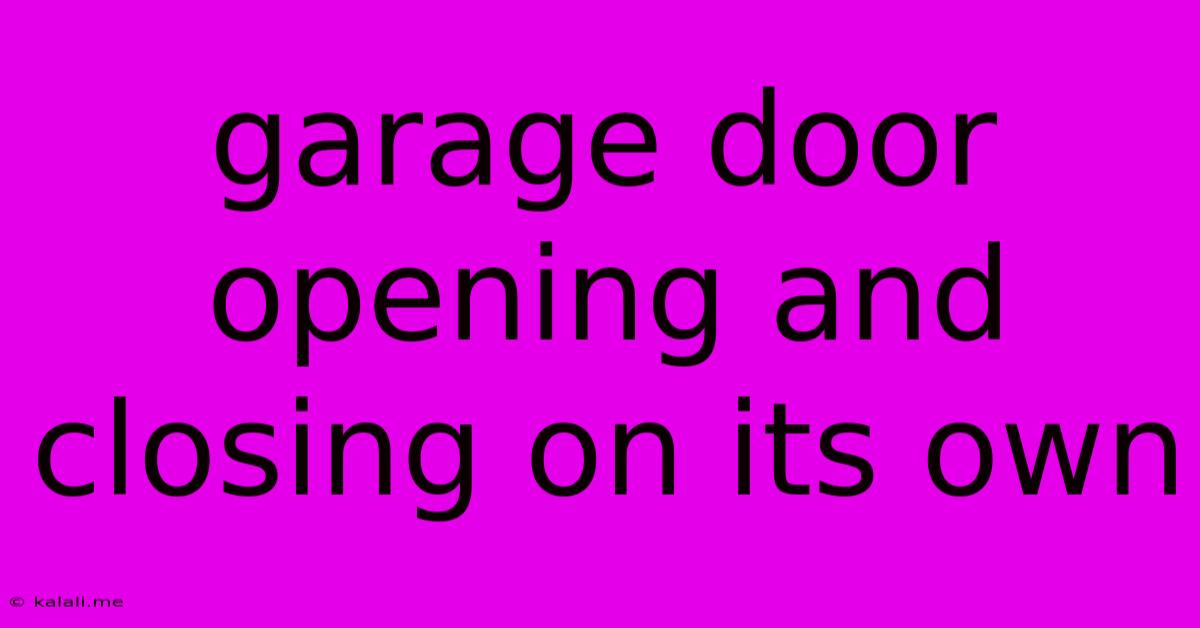 Garage Door Opening And Closing On Its Own