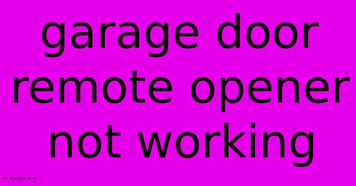 Garage Door Remote Opener Not Working