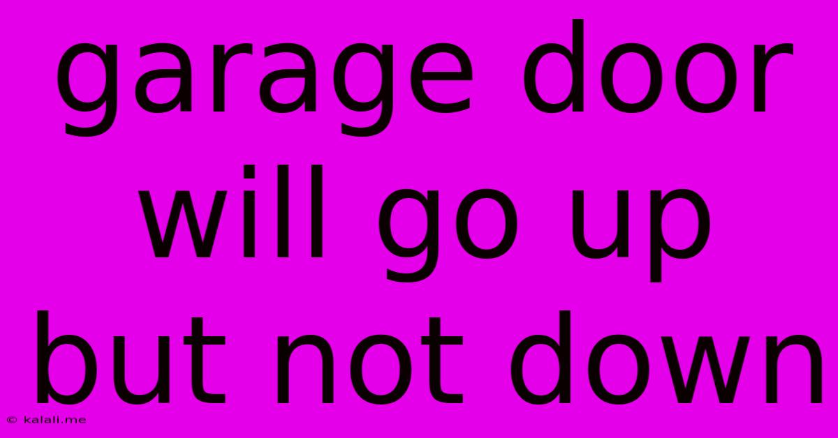 Garage Door Will Go Up But Not Down