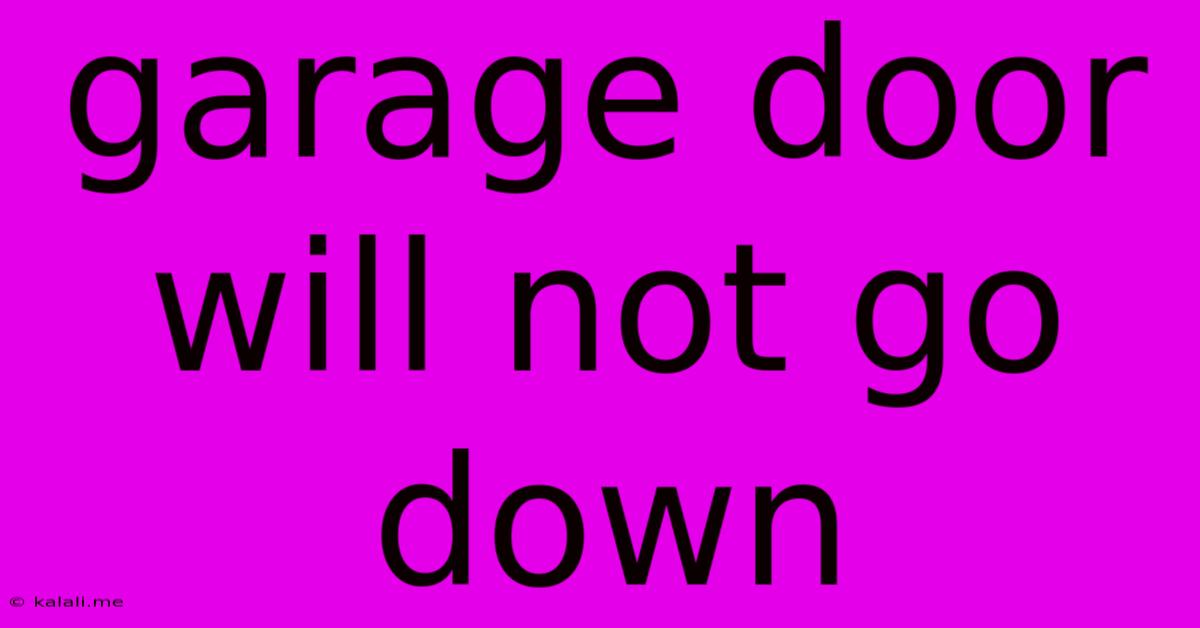 Garage Door Will Not Go Down