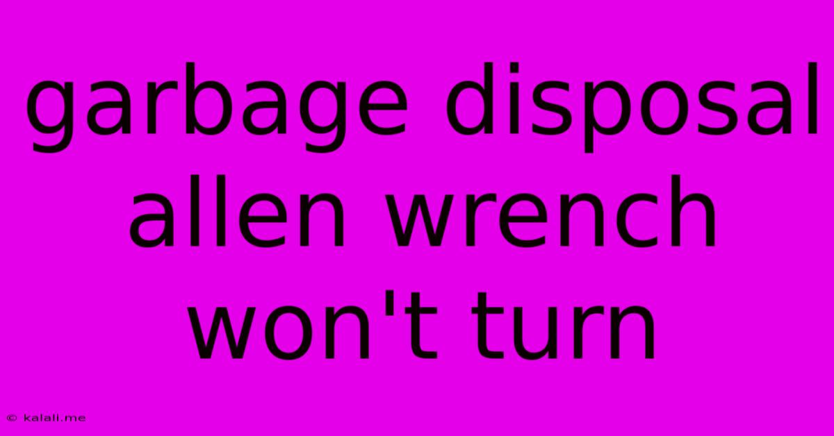 Garbage Disposal Allen Wrench Won't Turn