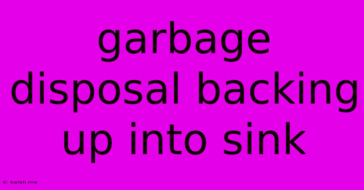 Garbage Disposal Backing Up Into Sink