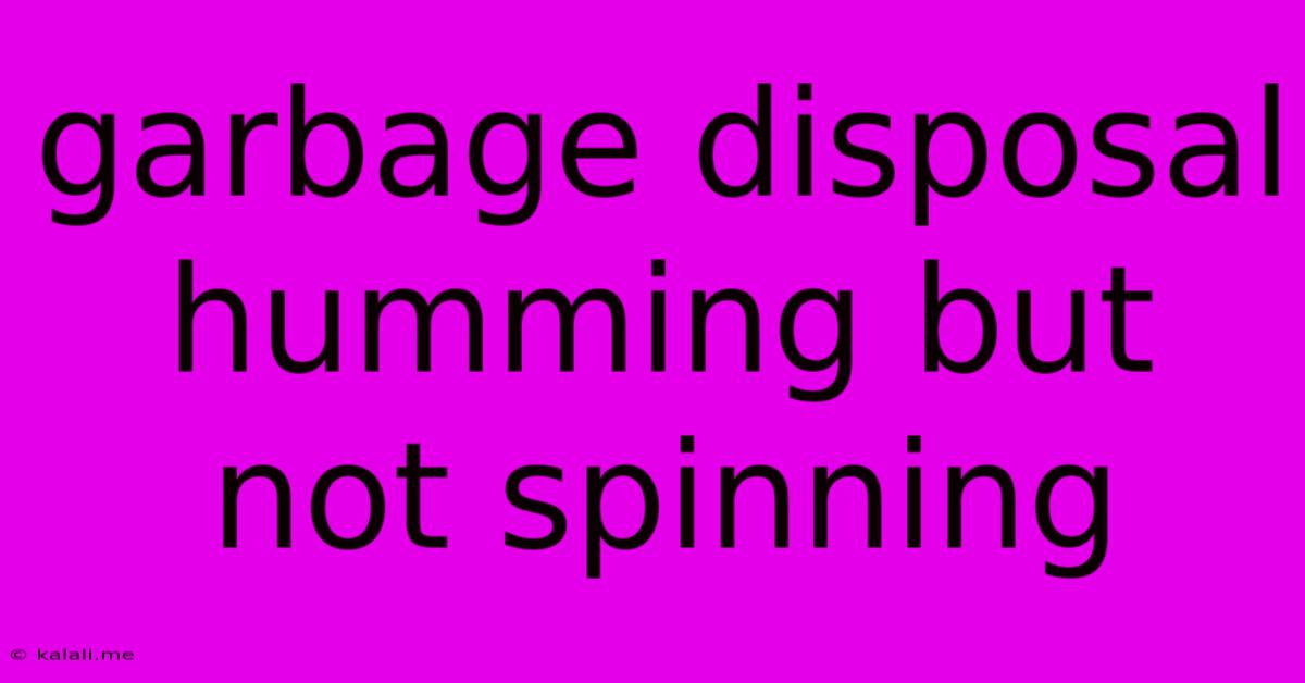 Garbage Disposal Humming But Not Spinning