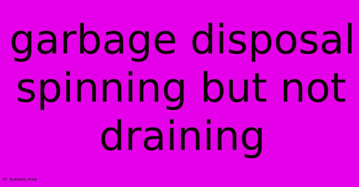 Garbage Disposal Spinning But Not Draining