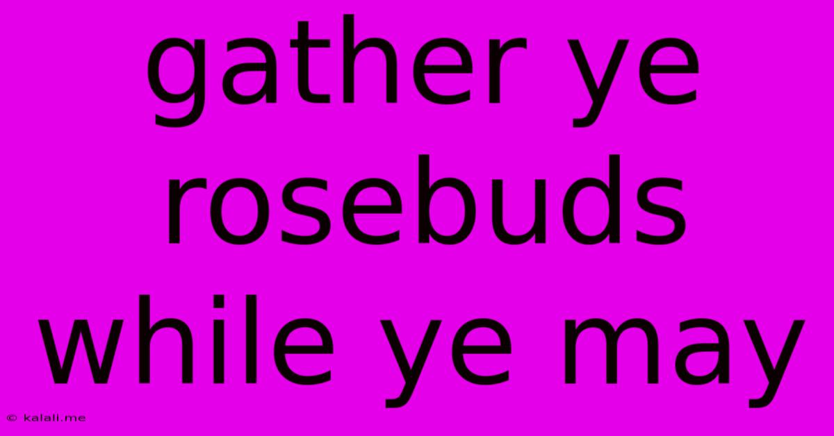 Gather Ye Rosebuds While Ye May