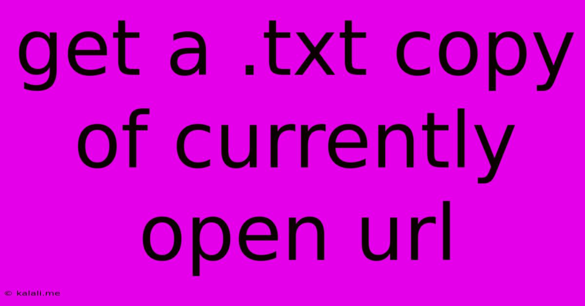 Get A .txt Copy Of Currently Open Url