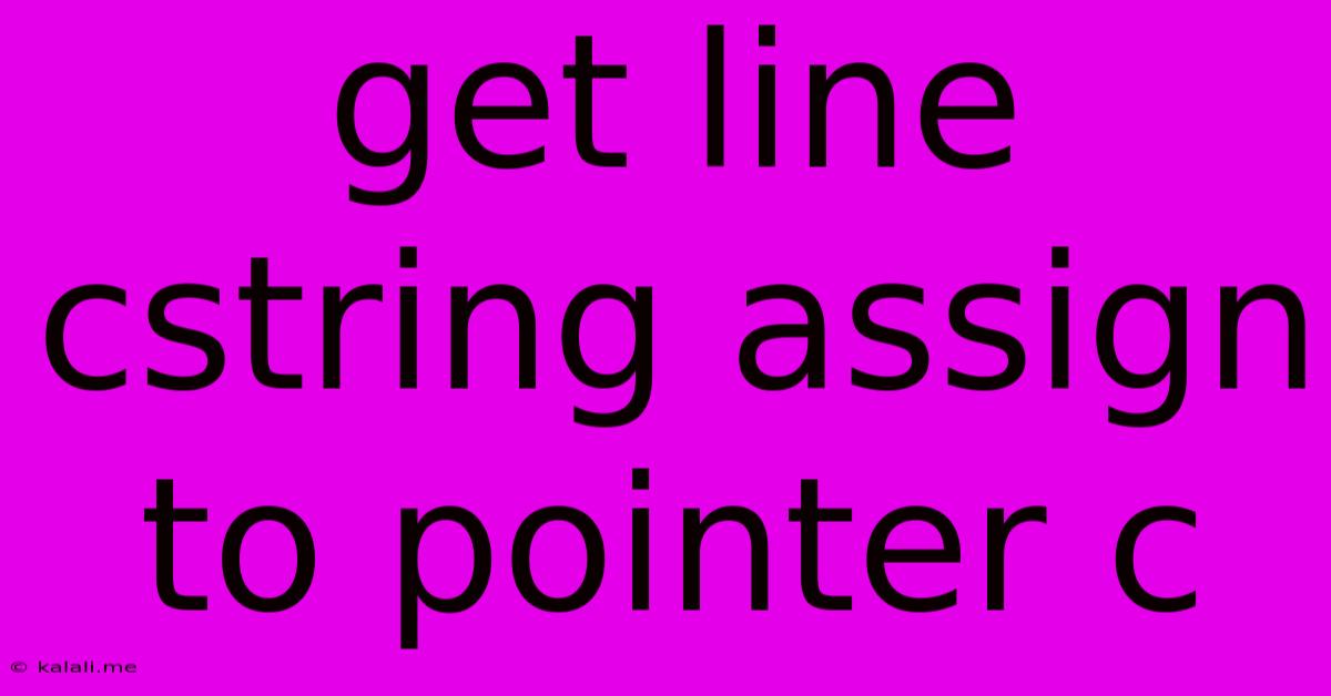Get Line Cstring Assign To Pointer C