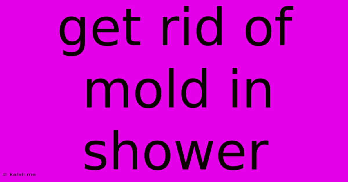 Get Rid Of Mold In Shower