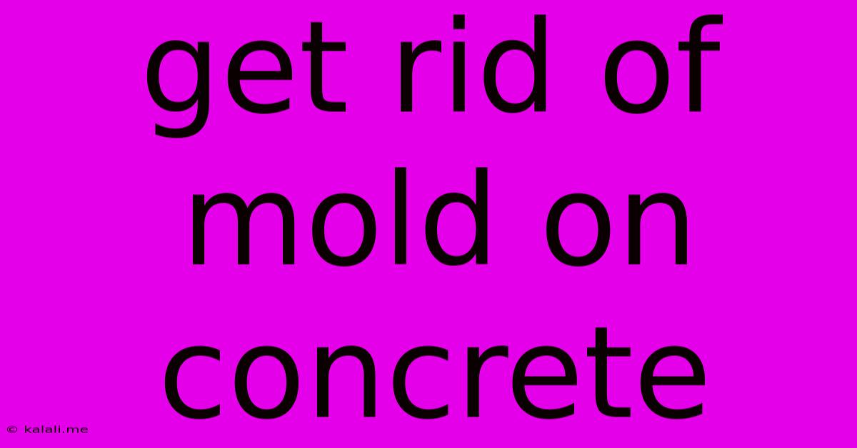 Get Rid Of Mold On Concrete