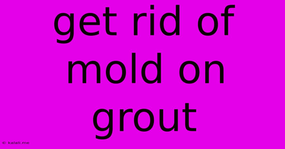 Get Rid Of Mold On Grout