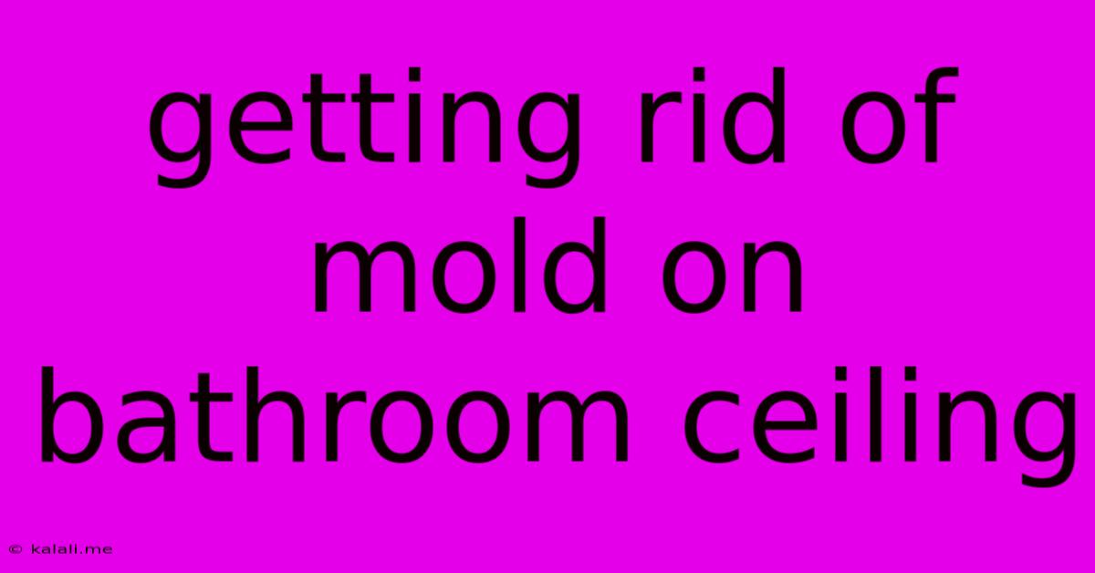 Getting Rid Of Mold On Bathroom Ceiling