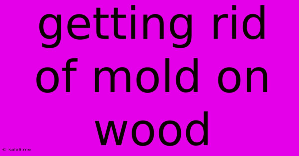 Getting Rid Of Mold On Wood