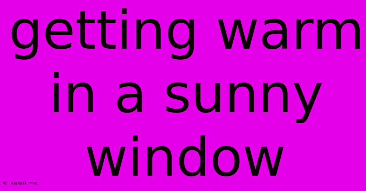 Getting Warm In A Sunny Window