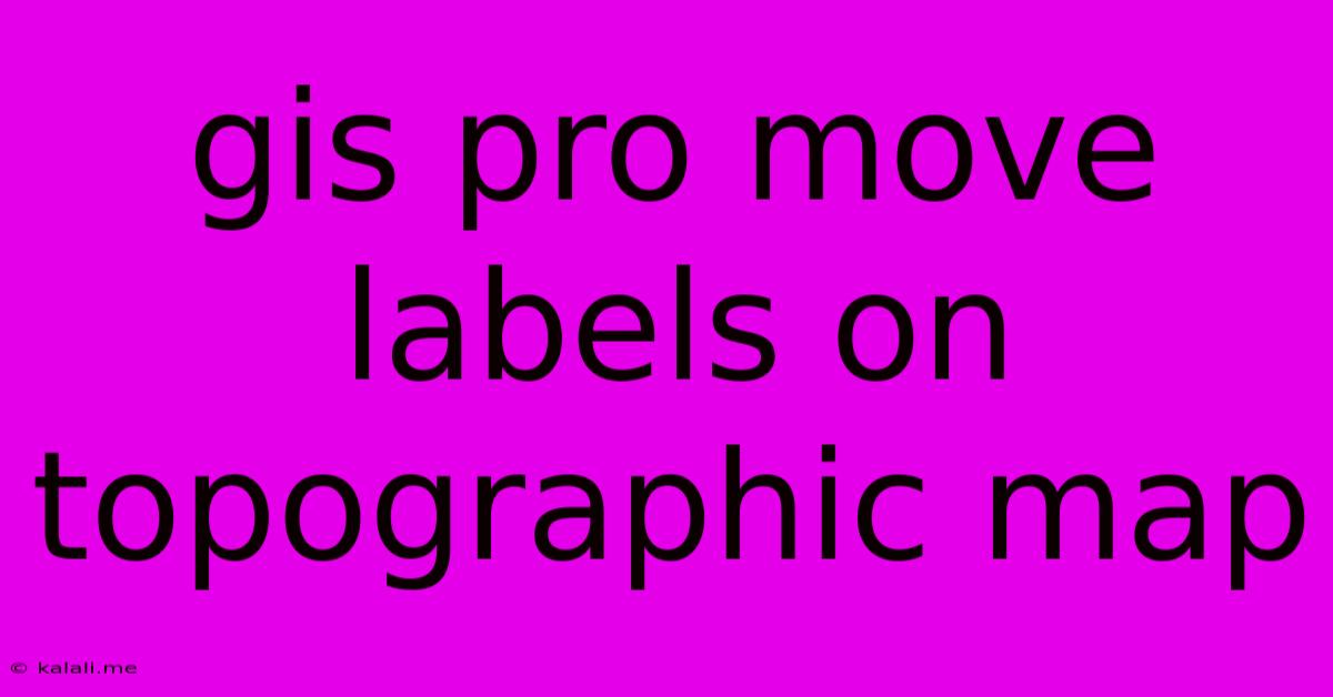 Gis Pro Move Labels On Topographic Map