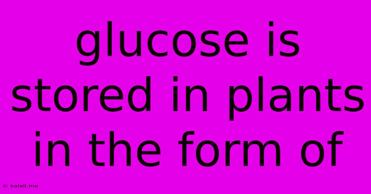 Glucose Is Stored In Plants In The Form Of