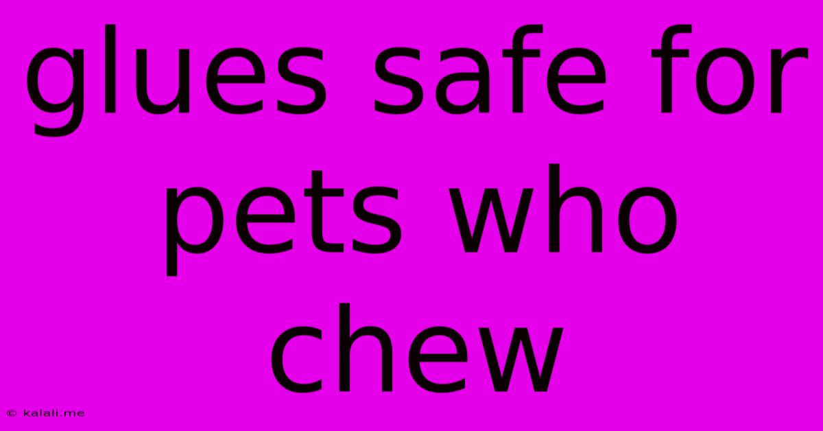 Glues Safe For Pets Who Chew