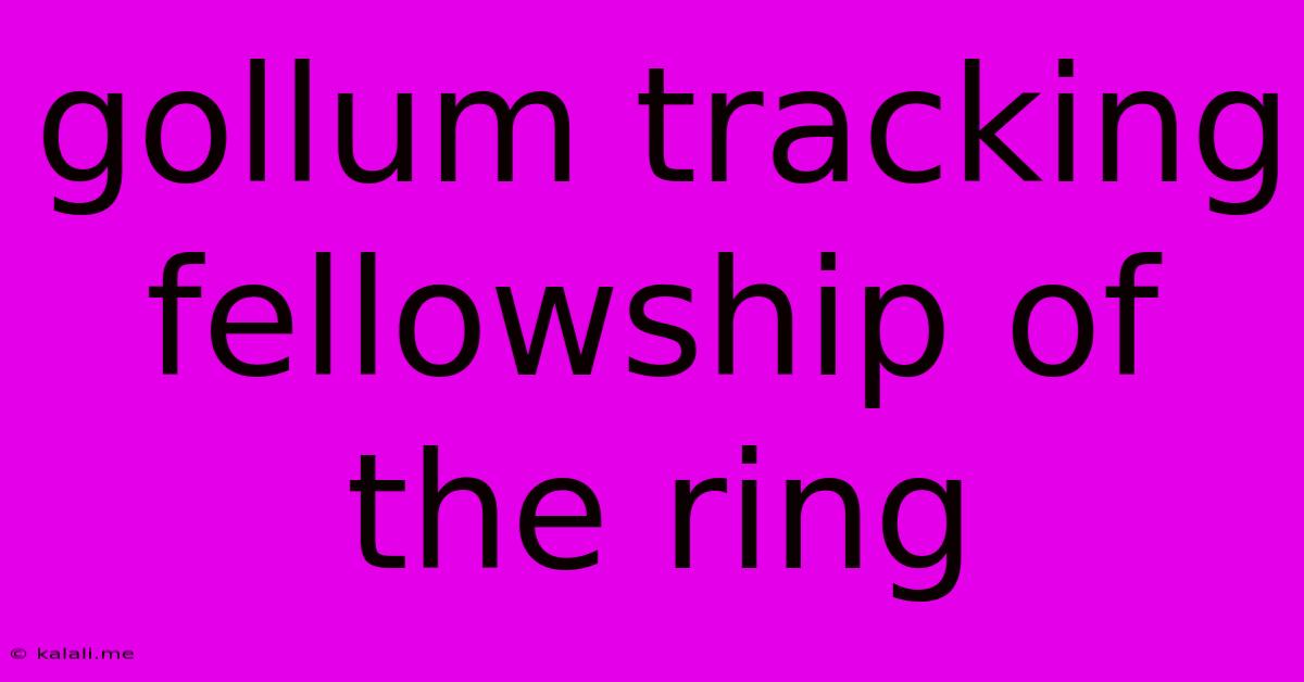 Gollum Tracking Fellowship Of The Ring