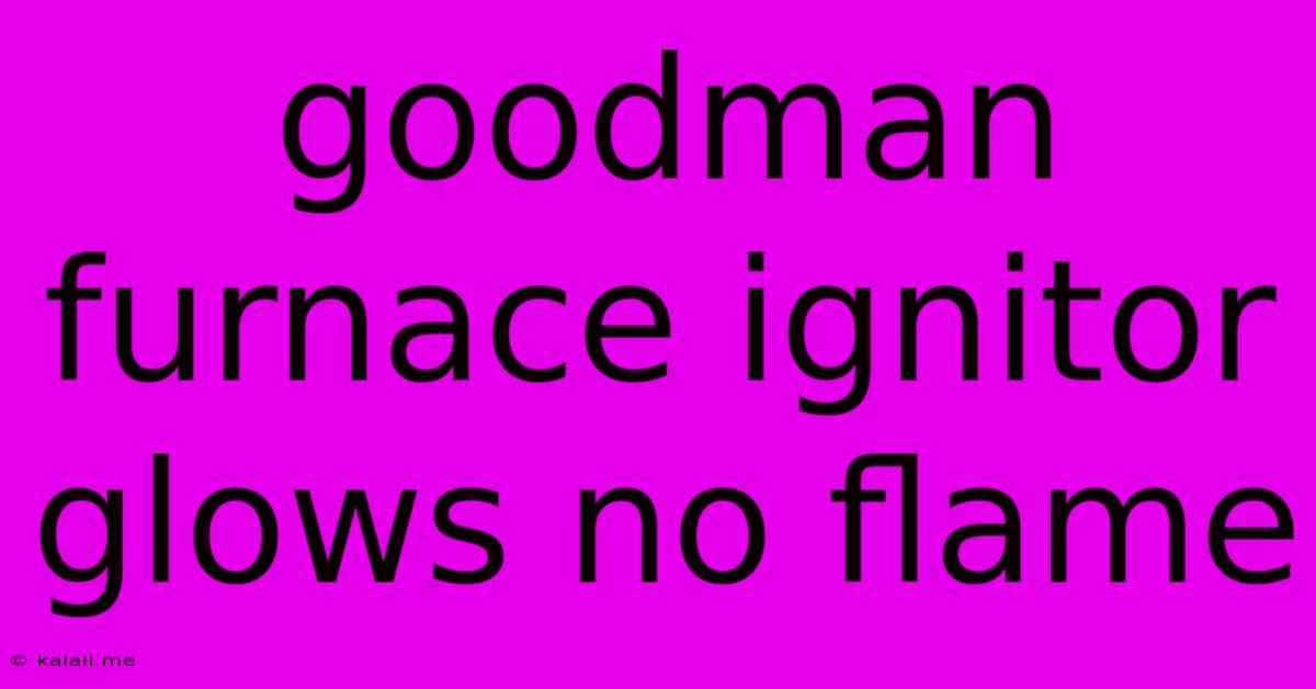 Goodman Furnace Ignitor Glows No Flame
