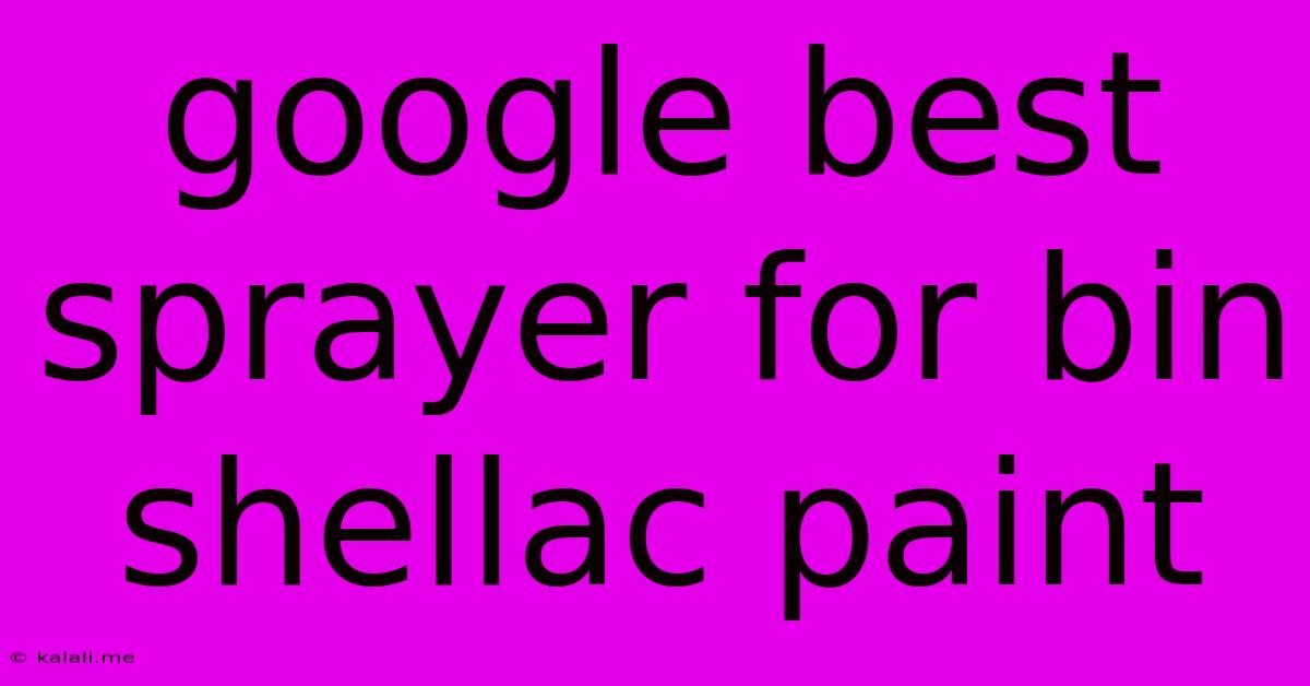 Google Best Sprayer For Bin Shellac Paint