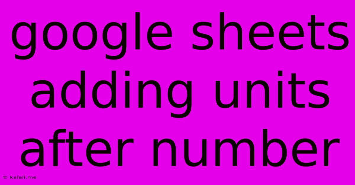 Google Sheets Adding Units After Number