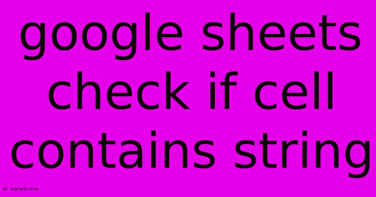 Google Sheets Check If Cell Contains String