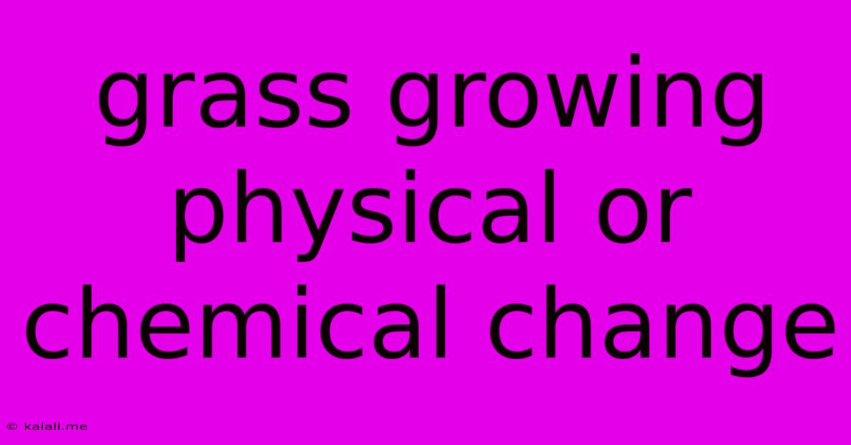 Grass Growing Physical Or Chemical Change