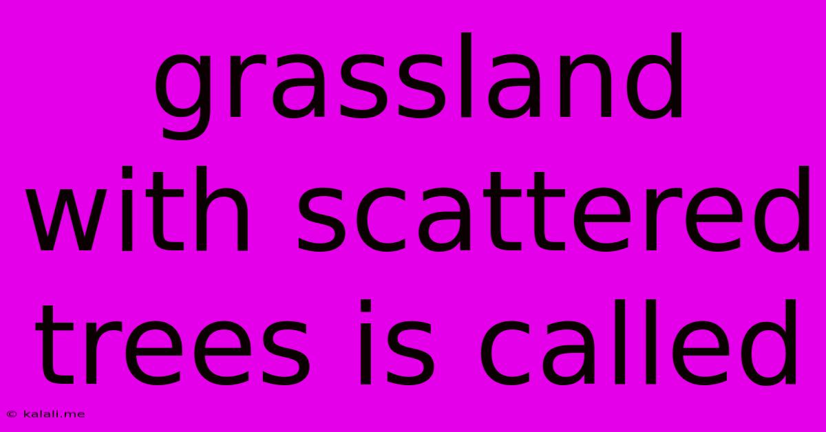 Grassland With Scattered Trees Is Called