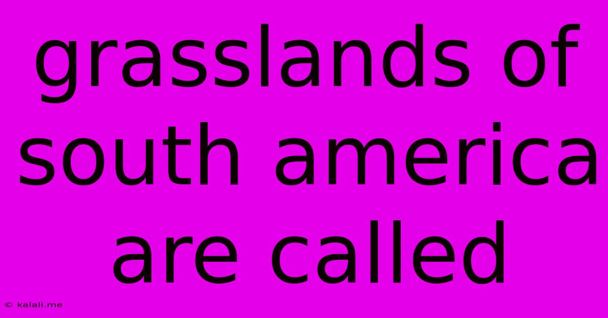 Grasslands Of South America Are Called