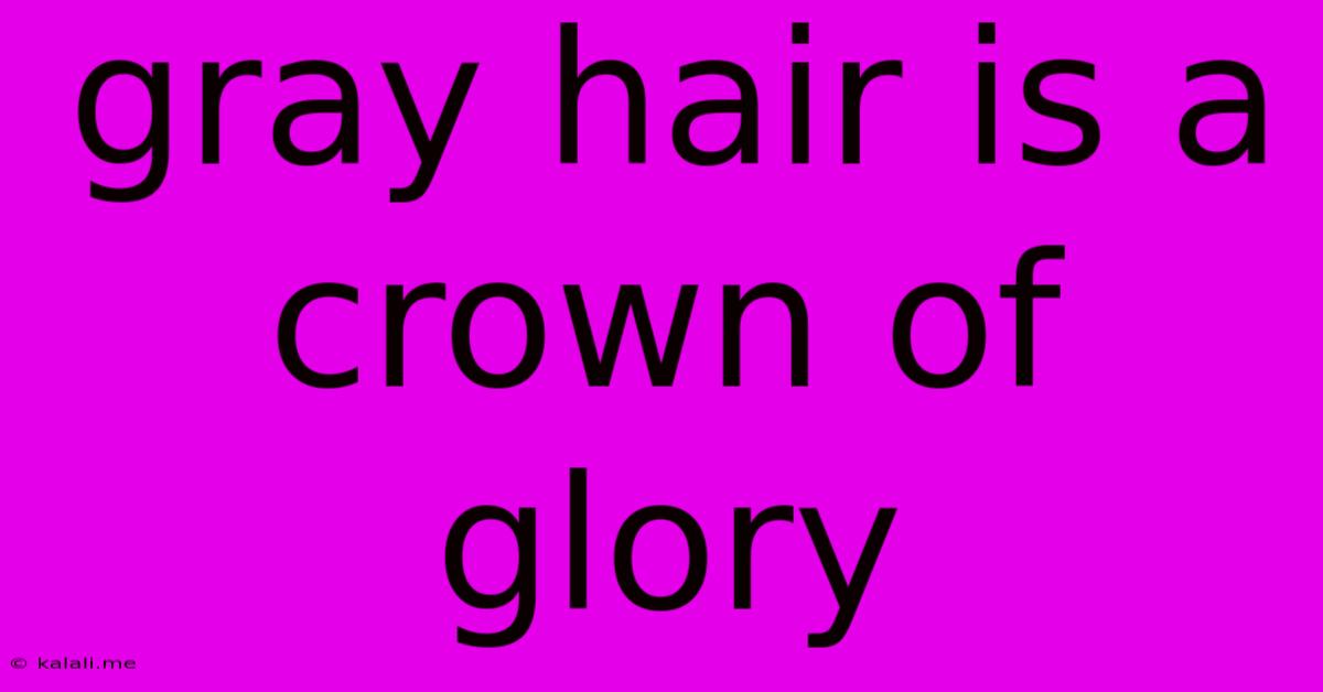 Gray Hair Is A Crown Of Glory