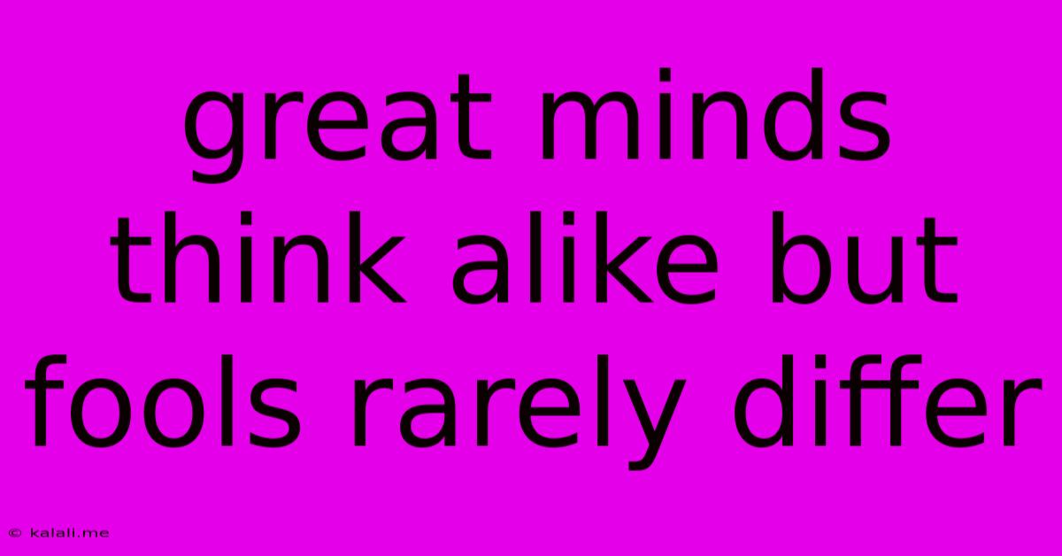 Great Minds Think Alike But Fools Rarely Differ