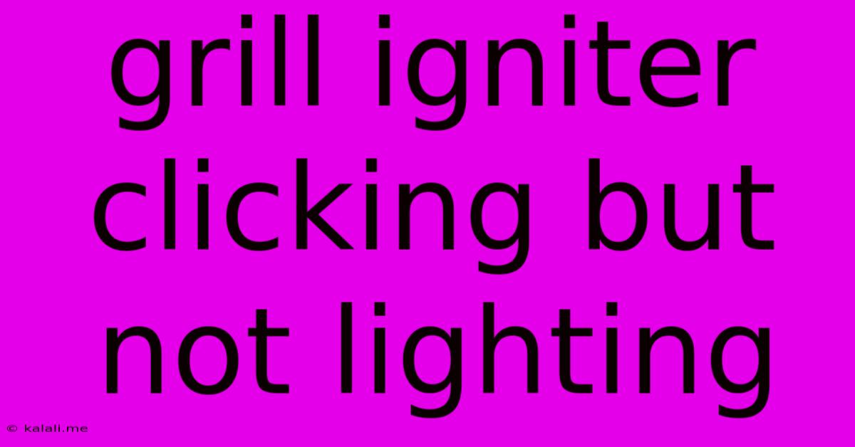 Grill Igniter Clicking But Not Lighting