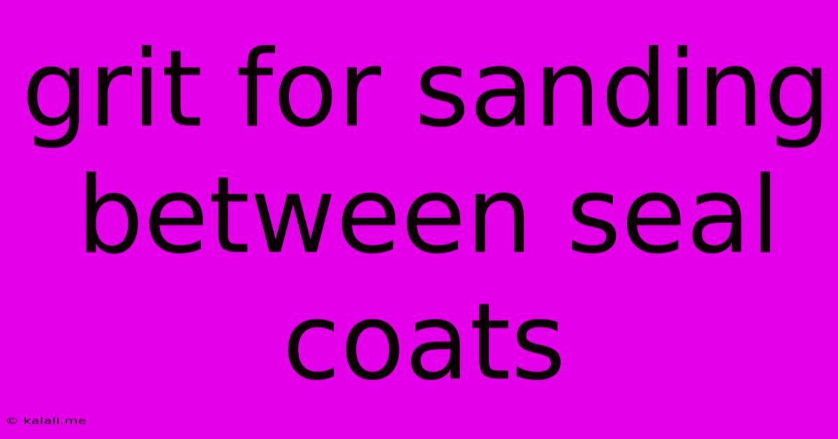 Grit For Sanding Between Seal Coats