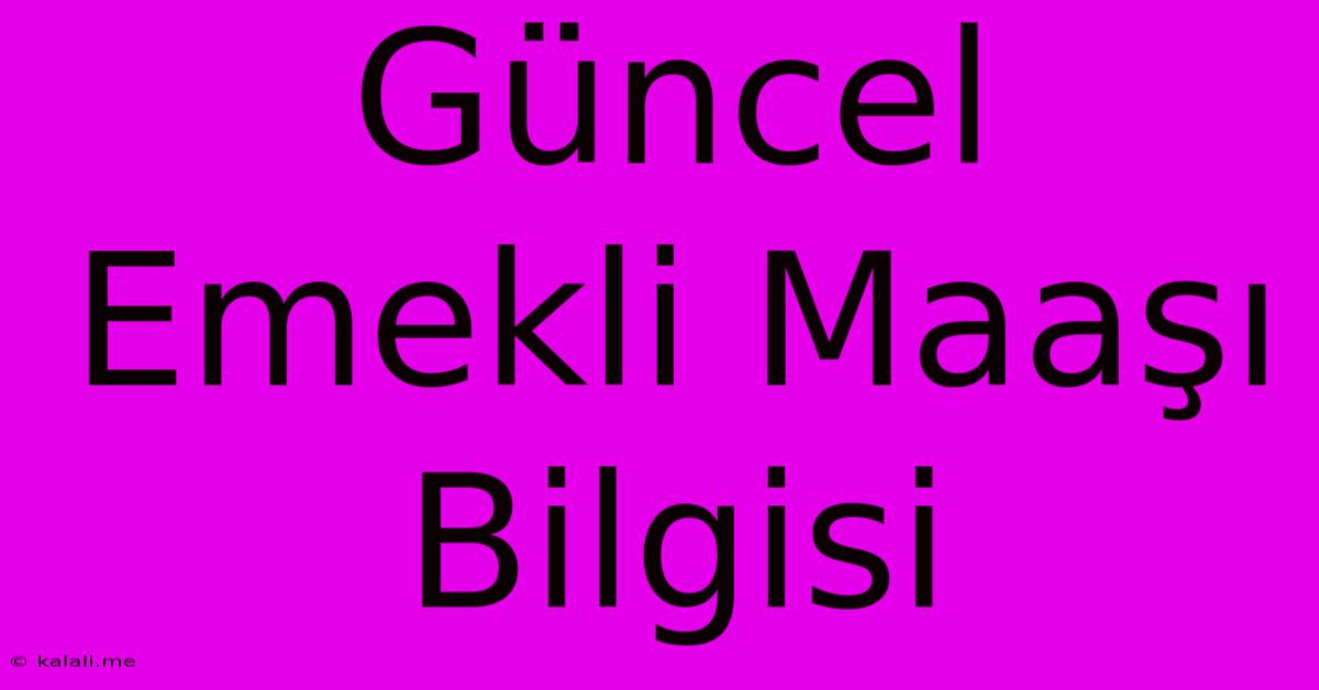 Güncel Emekli Maaşı Bilgisi