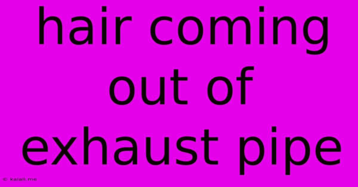 Hair Coming Out Of Exhaust Pipe