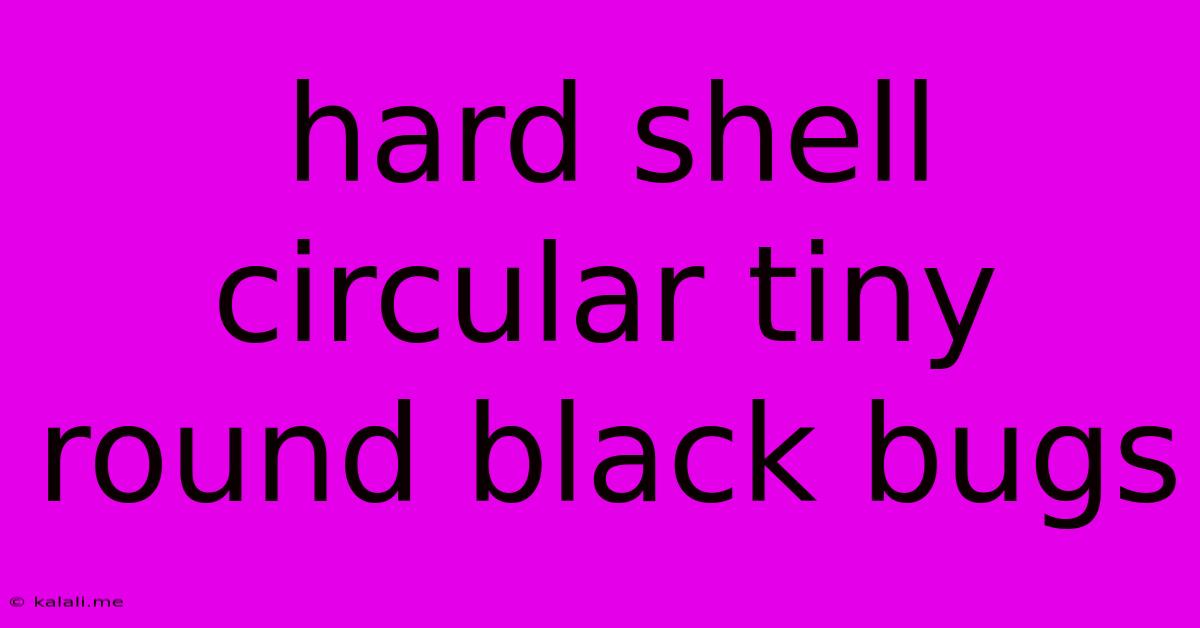 Hard Shell Circular Tiny Round Black Bugs