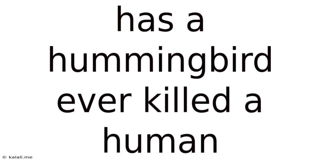 Has A Hummingbird Ever Killed A Human