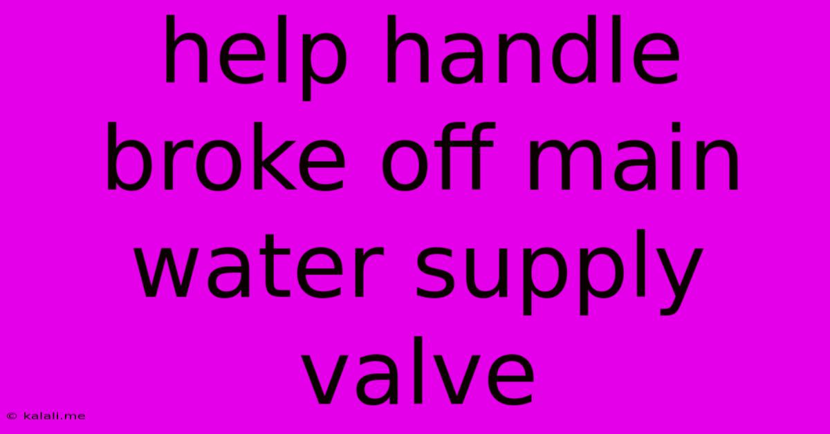 Help Handle Broke Off Main Water Supply Valve
