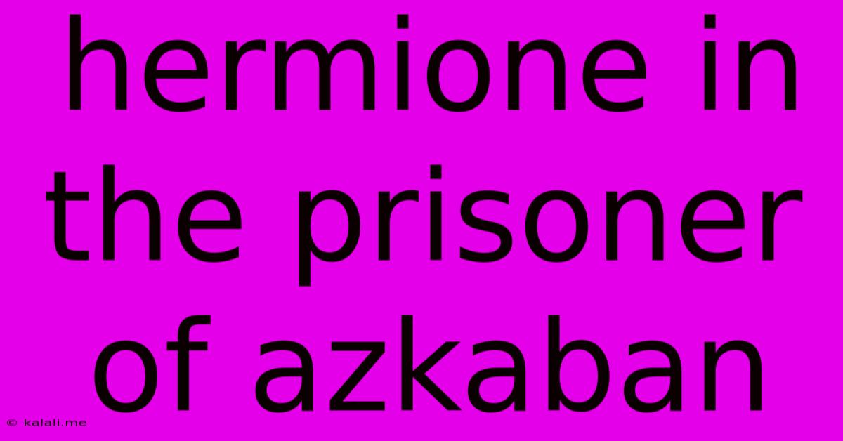 Hermione In The Prisoner Of Azkaban
