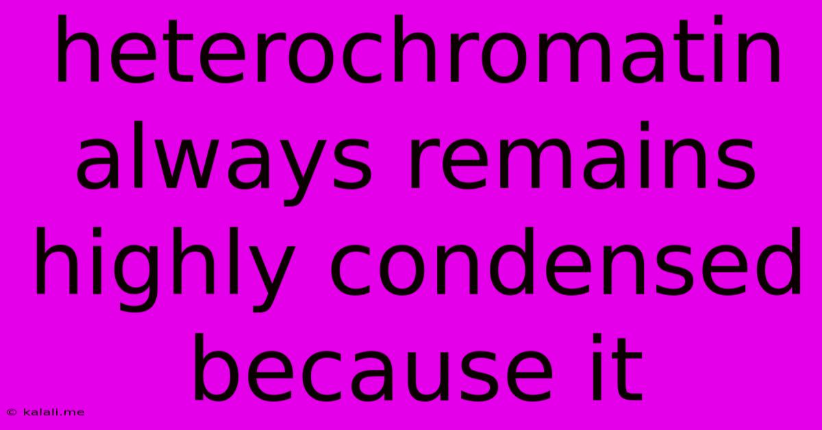 Heterochromatin Always Remains Highly Condensed Because It