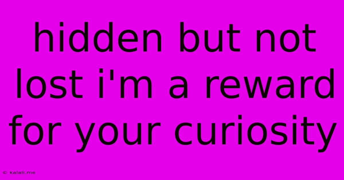 Hidden But Not Lost I'm A Reward For Your Curiosity