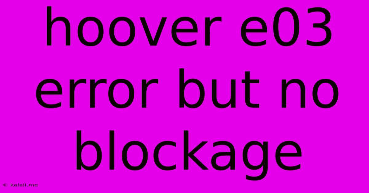 Hoover E03 Error But No Blockage