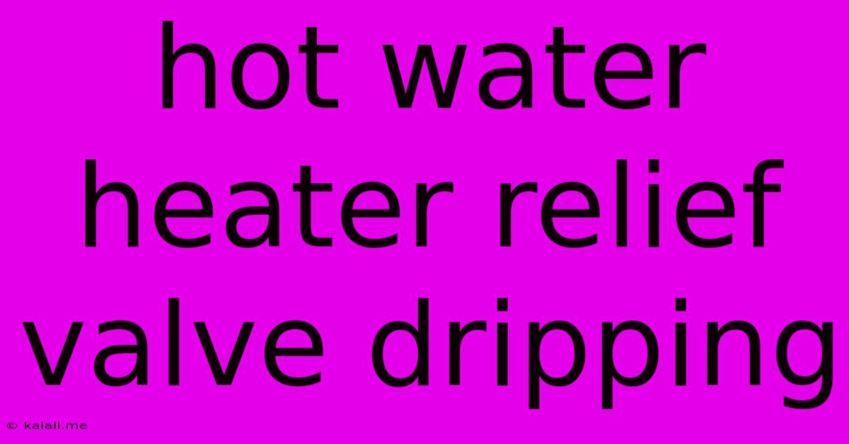 Hot Water Heater Relief Valve Dripping