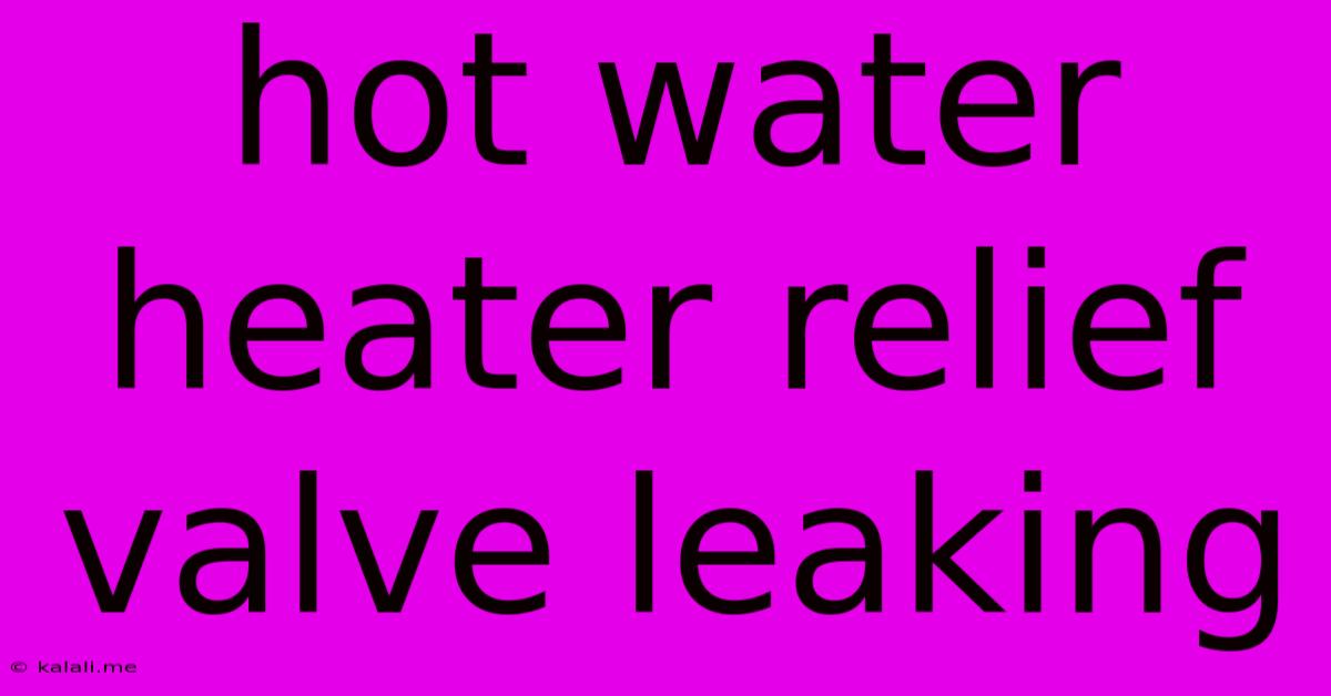 Hot Water Heater Relief Valve Leaking