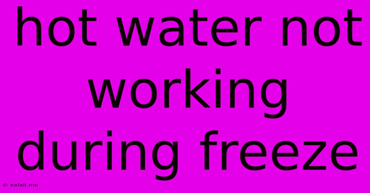 Hot Water Not Working During Freeze
