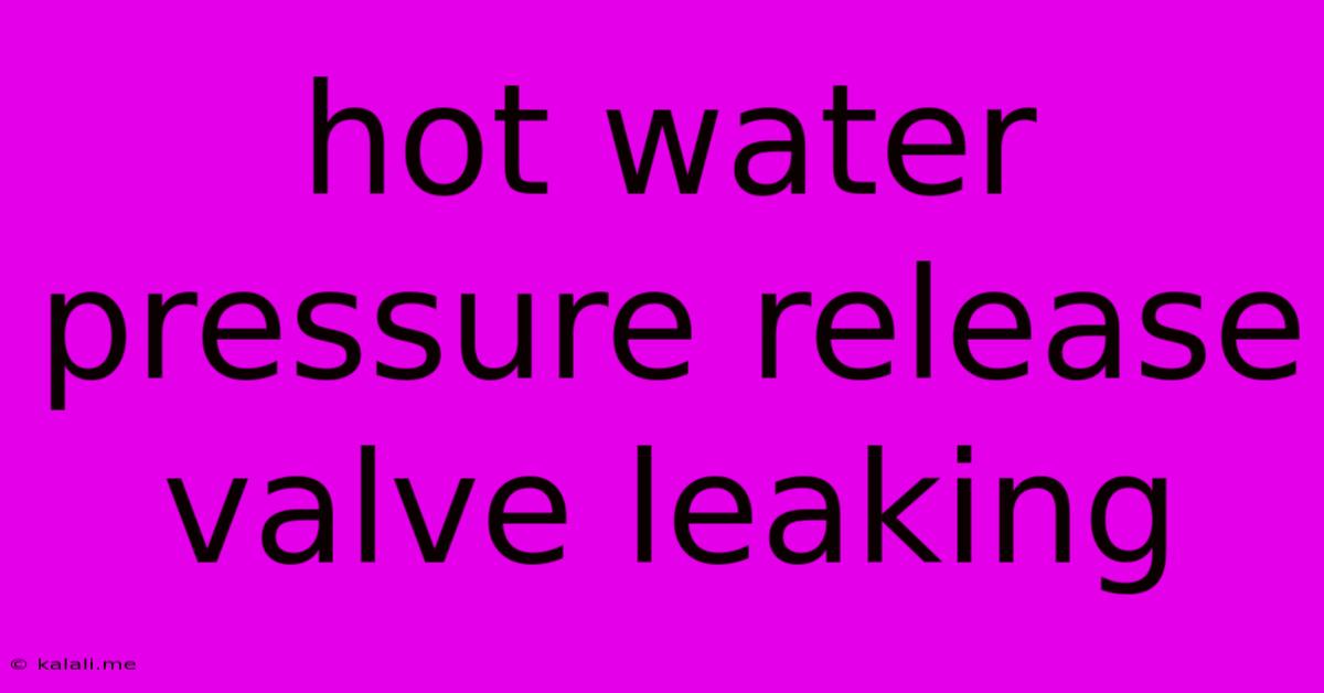Hot Water Pressure Release Valve Leaking