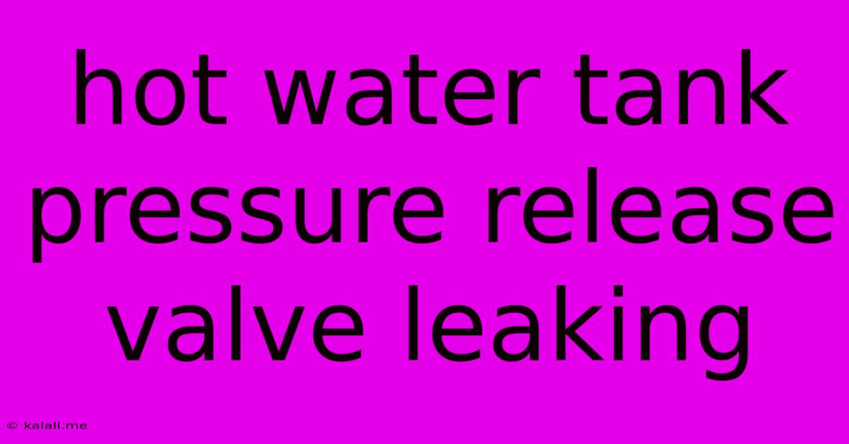 Hot Water Tank Pressure Release Valve Leaking