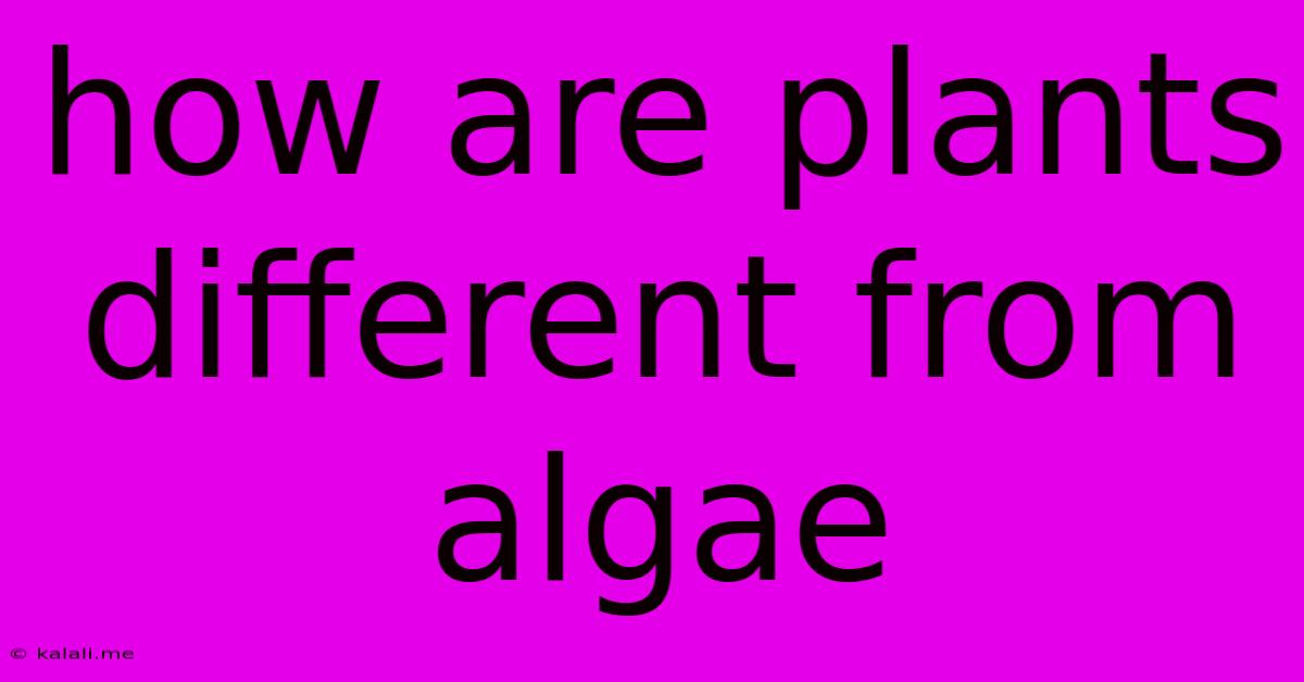 How Are Plants Different From Algae