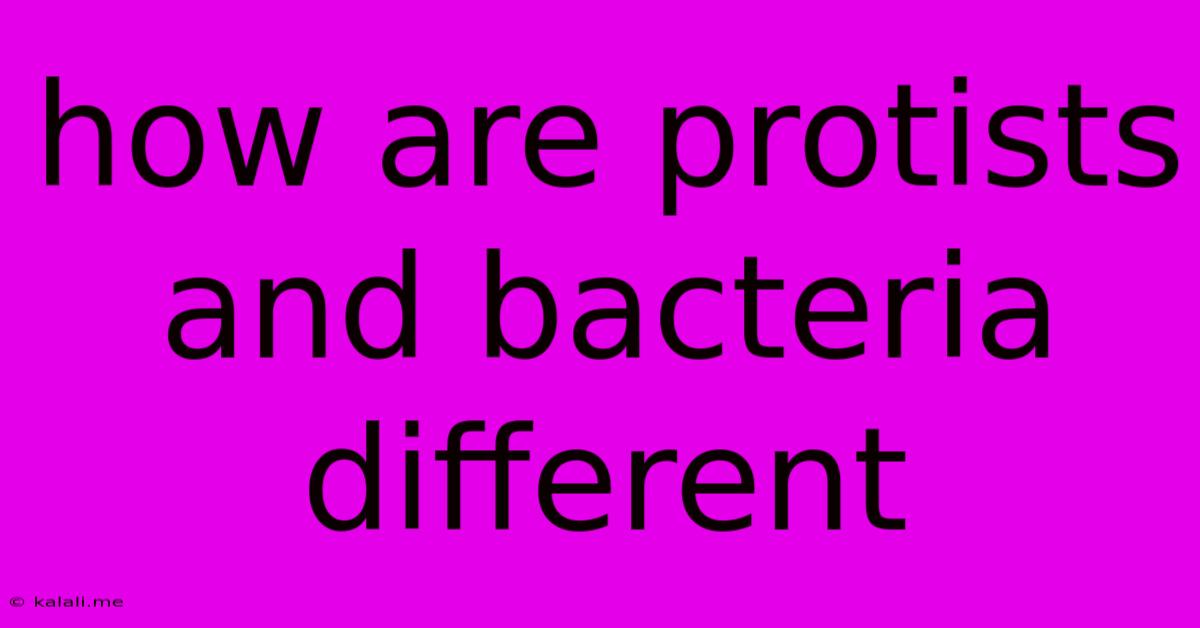 How Are Protists And Bacteria Different